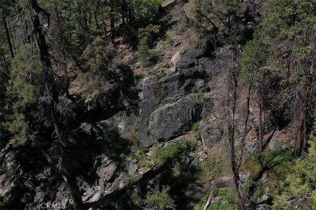 71707174 Yosemite Park Way, Yosemite, CA 95389