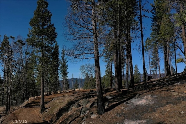 71707174 Yosemite Park Way, Yosemite, CA 95389