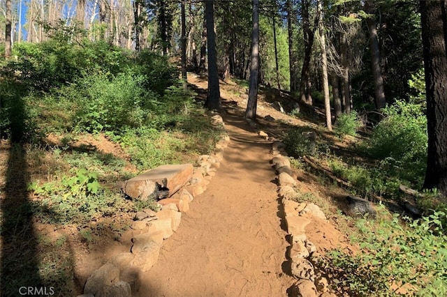 71707174 Yosemite Park Way, Yosemite, CA 95389