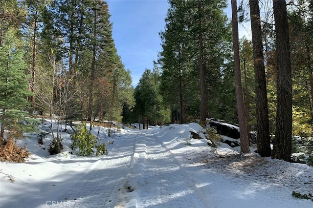 71707174 Yosemite Park Way, Yosemite, CA 95389