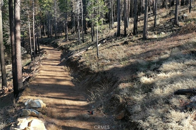 71707174 Yosemite Park Way, Yosemite, CA 95389