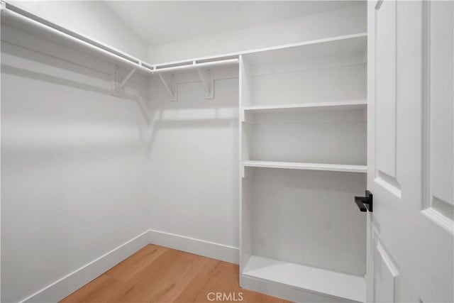 spacious closet featuring light wood finished floors
