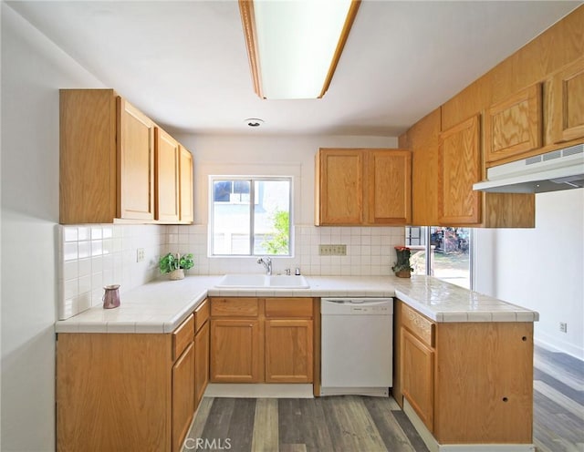 kitchen with decorative backsplash, dishwasher, a sink, under cabinet range hood, and dark wood-type flooring
