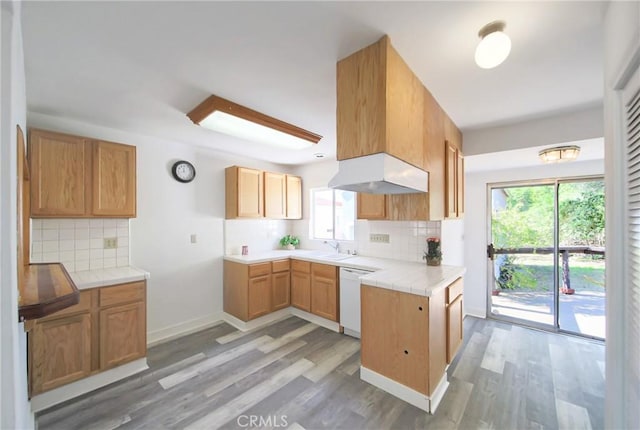 kitchen with white dishwasher, tasteful backsplash, tile countertops, and light wood-type flooring