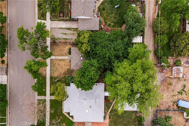 bird's eye view