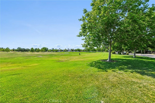 1900 Danbrook Dr Unit 521, Sacramento, CA 95835 - view of green lawn