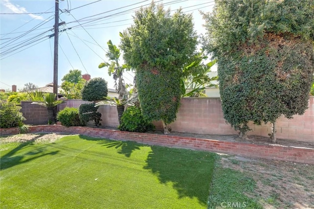 view of yard with a fenced backyard