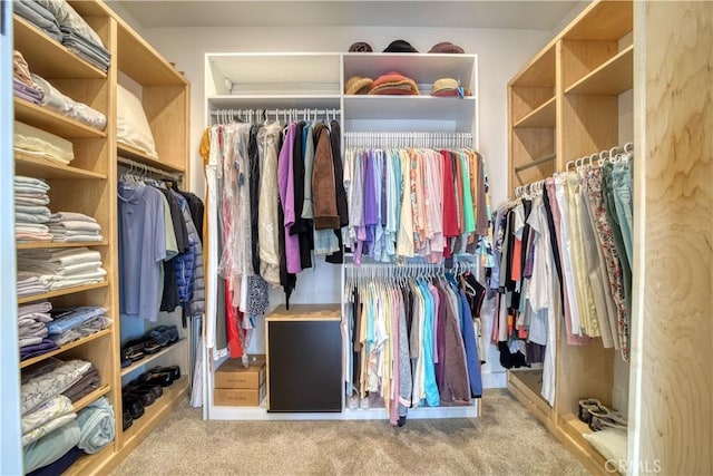 walk in closet featuring carpet floors