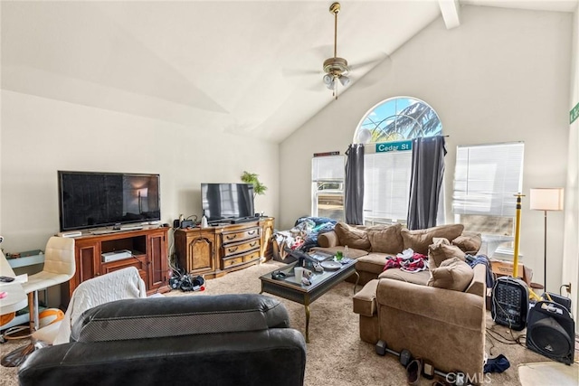 carpeted living area featuring ceiling fan, beam ceiling, and high vaulted ceiling