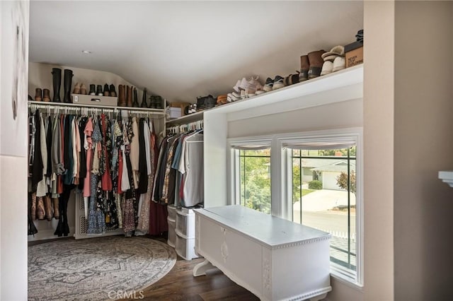 walk in closet with lofted ceiling and dark wood-style floors