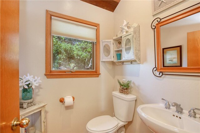 1660 Saint Thomas Ave, Cambria, CA 93428 - bathroom featuring a sink and toilet