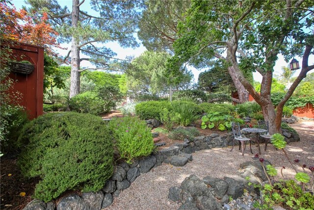 1660 Saint Thomas Ave, Cambria, CA 93428 - view of yard