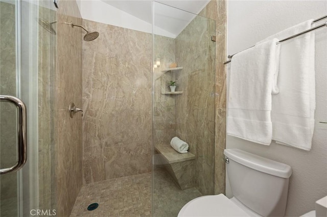 bathroom featuring vaulted ceiling, toilet, and a shower stall