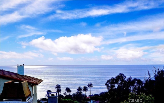 property view of water