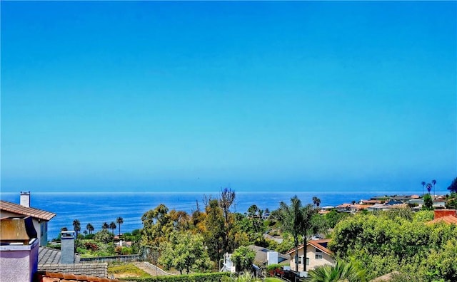 property view of water