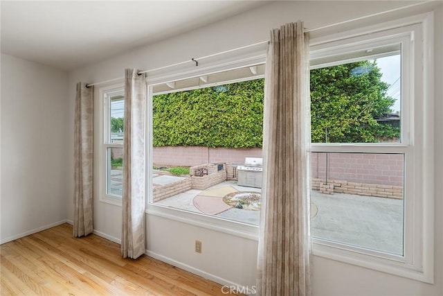 entryway featuring plenty of natural light, baseboards, and wood finished floors