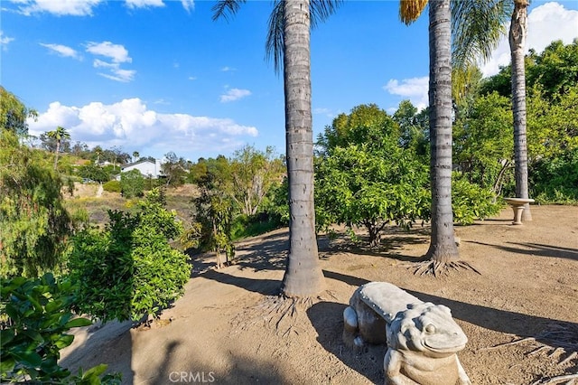 16562 Orangewind Ln, Riverside, CA 92503 - view of yard featuring view of scattered trees