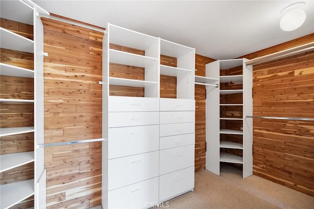16562 Orangewind Ln, Riverside, CA 92503 - view of walk in closet