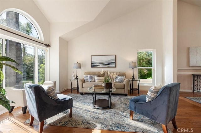 16562 Orangewind Ln, Riverside, CA 92503 - living area with high vaulted ceiling, baseboards, and wood finished floors