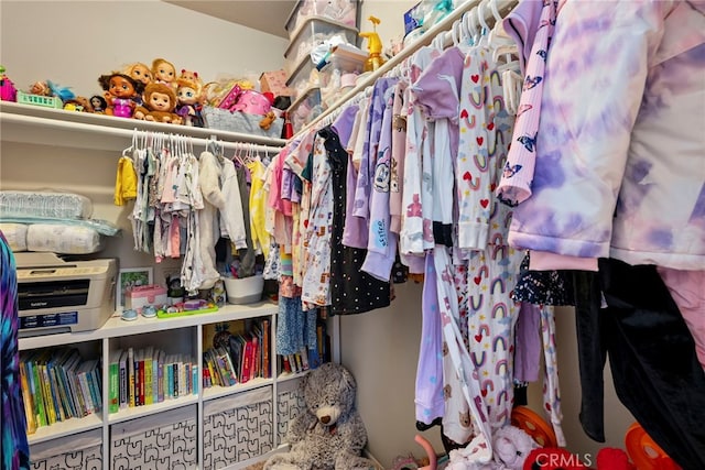 view of spacious closet