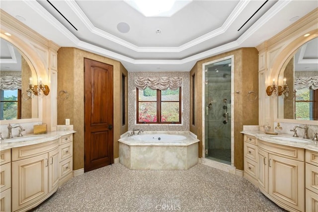 bathroom with a sink, a shower stall, a tray ceiling, and a healthy amount of sunlight