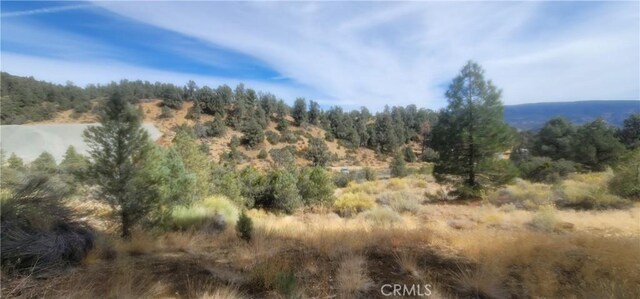32897 Seymour Canyon Rd, Frazier Park, CA 93225