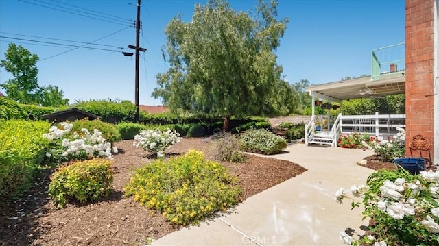 view of yard with a patio