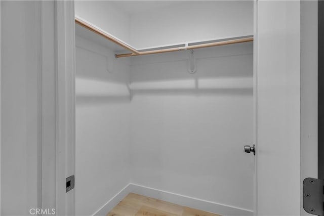 spacious closet featuring light wood-type flooring