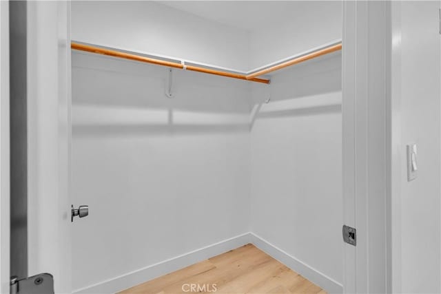 walk in closet with light wood-type flooring
