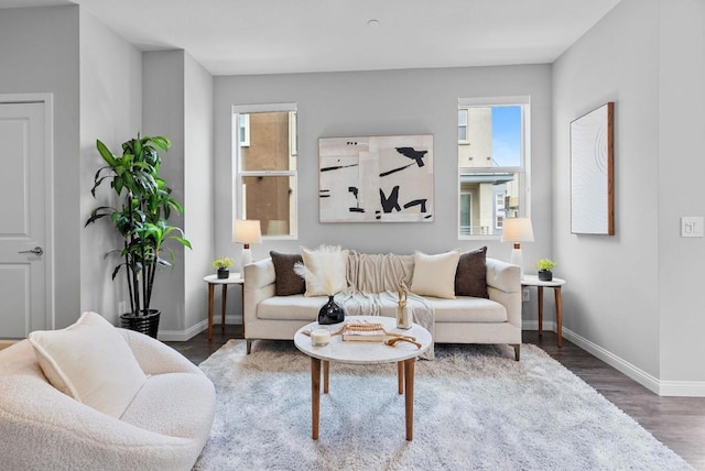 living area with baseboards and wood finished floors