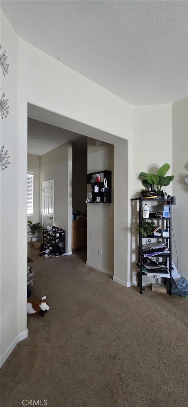 interior space featuring baseboards and carpet flooring