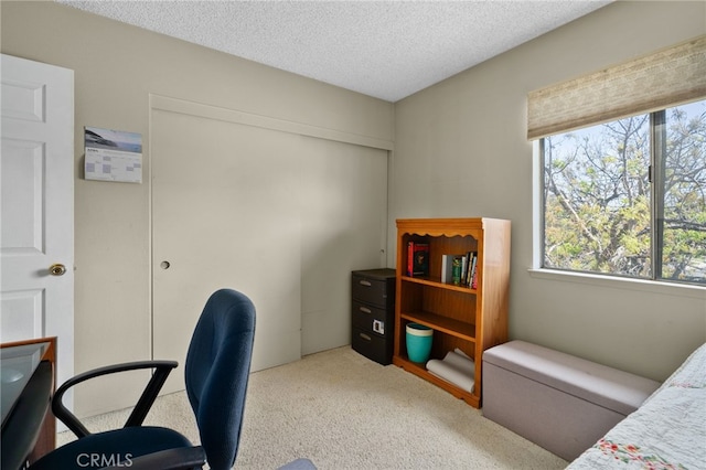 8990 19th St Unit 360, Rancho Cucamonga, CA 91701 - office area with a textured ceiling and carpet