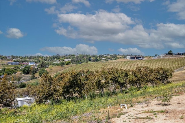 view of local wilderness with a rural view