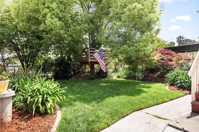 view of yard