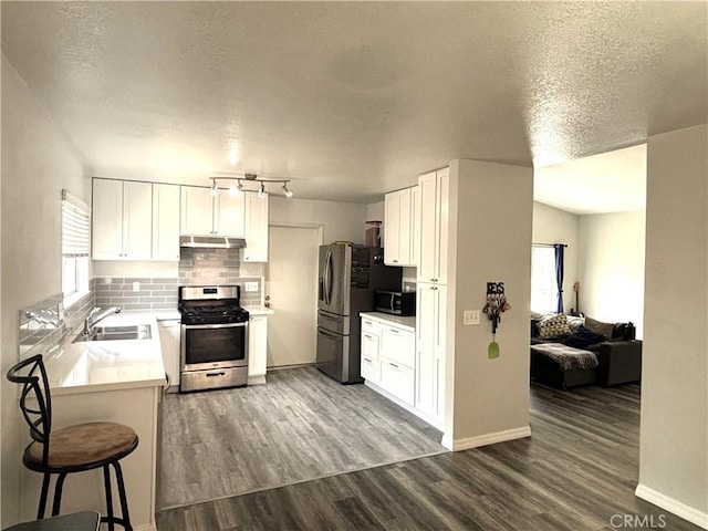 6845 Butte Dr, Riverside, CA 92505 - kitchen featuring stainless steel appliances, under cabinet range hood, backsplash, a sink, and dark wood-type flooring