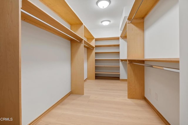 walk in closet with light wood-type flooring