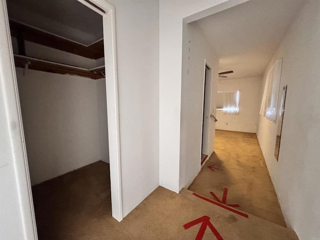 hallway with carpet