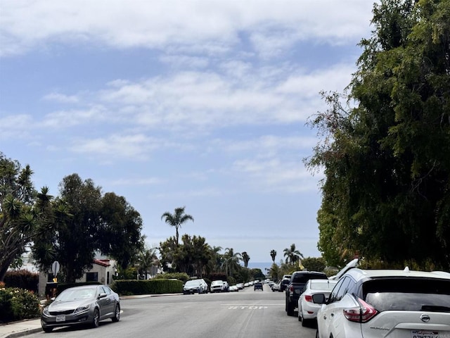 view of street with curbs