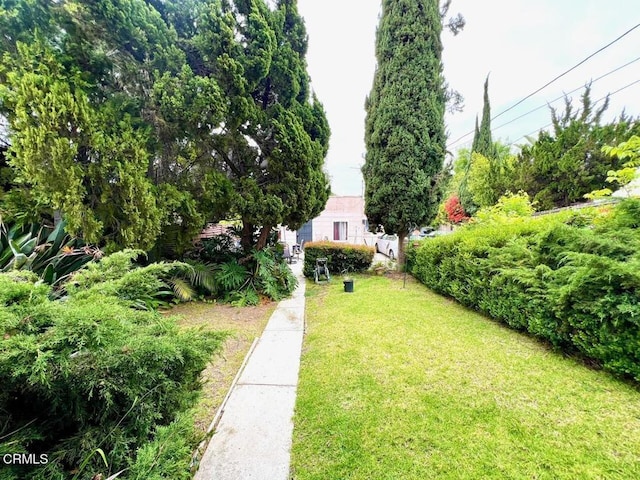 view of yard