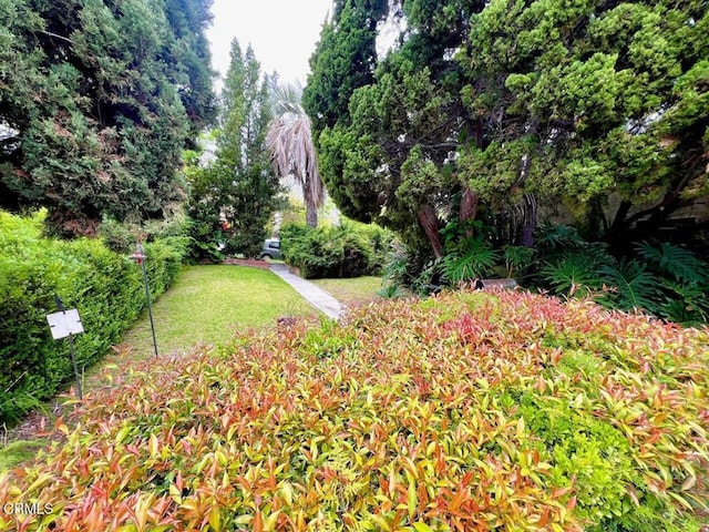 surrounding community featuring a yard