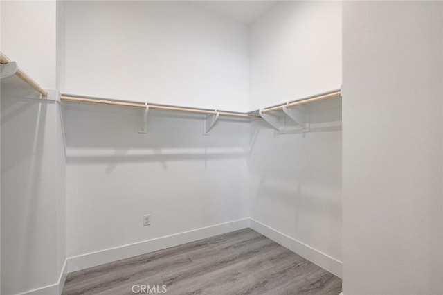 20526 W Overlook Ct, Porter Ranch, CA 91326 - spacious closet with light wood-style flooring