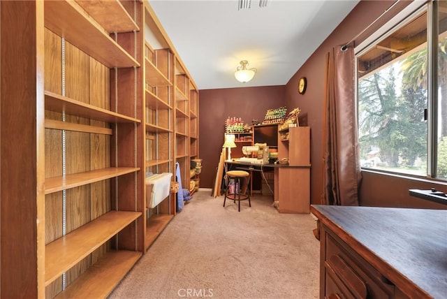 office space with visible vents and carpet