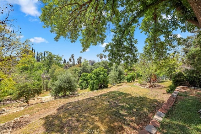 view of yard