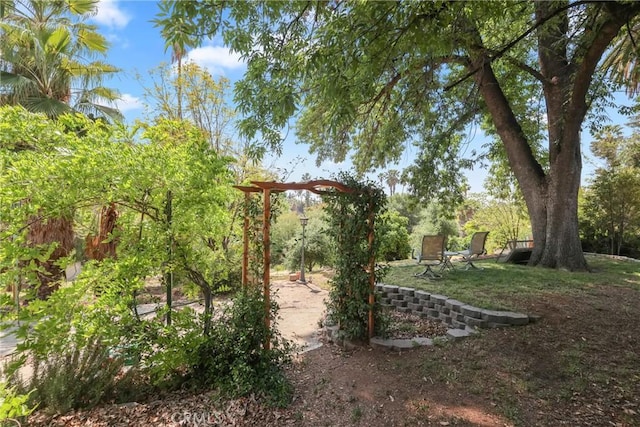 view of yard