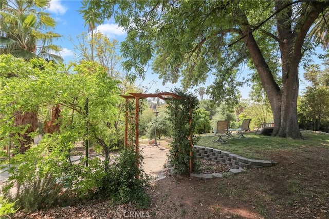 120 Franklin Ave, Redlands, CA 92373 - view of yard