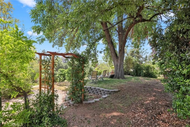 view of yard