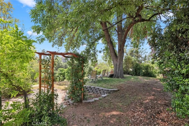120 Franklin Ave, Redlands, CA 92373 - view of yard