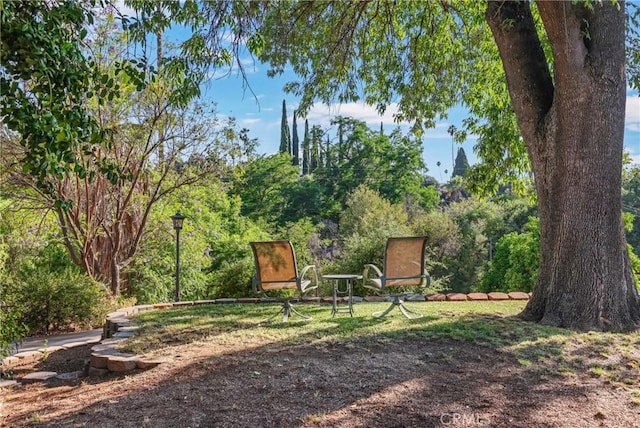 120 Franklin Ave, Redlands, CA 92373 - view of yard