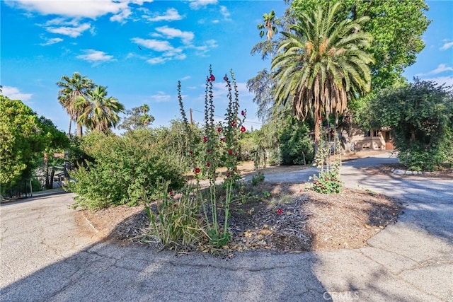 120 Franklin Ave, Redlands, CA 92373 - view of yard