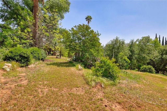 120 Franklin Ave, Redlands, CA 92373 - view of yard